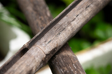 Bamboo fence close-up. Selective focus with shallow depth of field.