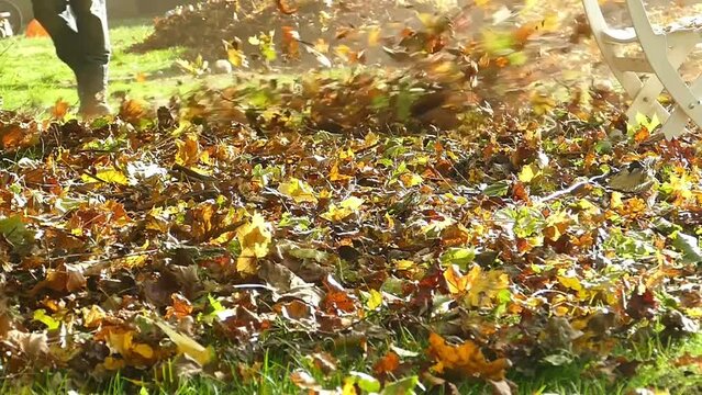 Blowing leaves in autumn day in slow motion