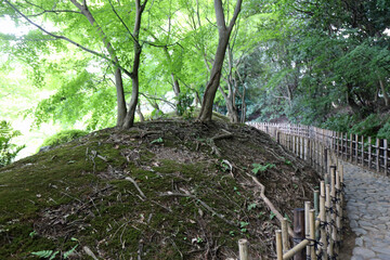 晩夏の栗林公園
