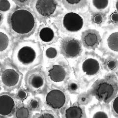 Black and white ink or watercolor seamless pattern, wall art painting abstract art or print, hand drawn background or texture, paint round or circles splashes, wallpaper or gift wrapping paper	