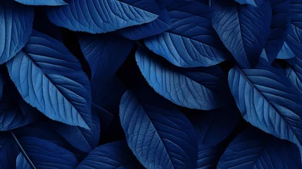Poster Blue leaf wallpapers in nature which are attractive to sight, Generative AI. © Our Scrapbook