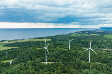 vue en hauteur d'un champ d'éoliennes dans une forêt en bord de mer lors d'une journée ennuagée...