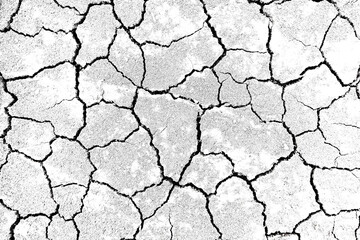Texture soil dry crack background pattern of drought lack of water of nature white black old broken.