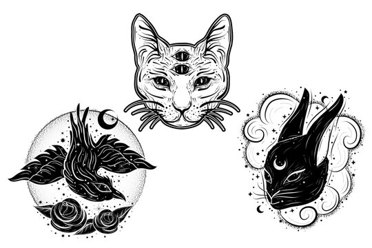 Vector witch familiars set. Hand drawn, doodle, sketch magician collection. Witchcraft symbols. Perfect for tattoo, textile, cards, mystery