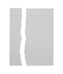 Paper has white torn lines on transparent background png file.