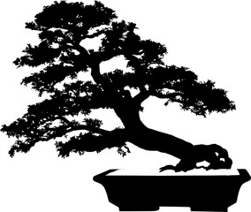 bonsai, arbol, vector, naturaleza, paisajismo