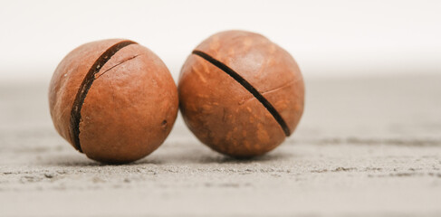 two closed macadamia nuts on a gray isolated background macro photography