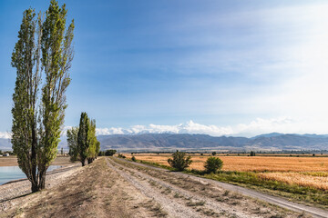 Road in an autumn mountain valley, trees on the hills against the backdrop of snow-capped...