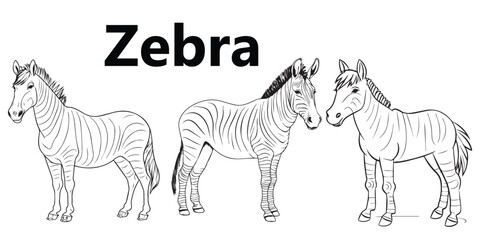 Cute and Line Art Zebra Coloring Page Design for Adults