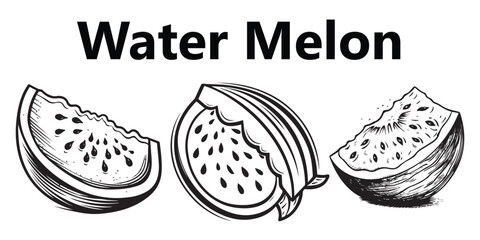 Fruits and vegetables Line art watermelon coloring page vector illustration