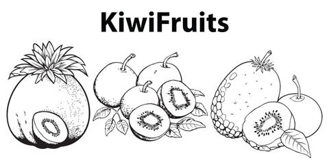 A set of Kiwi fruits vector illustration