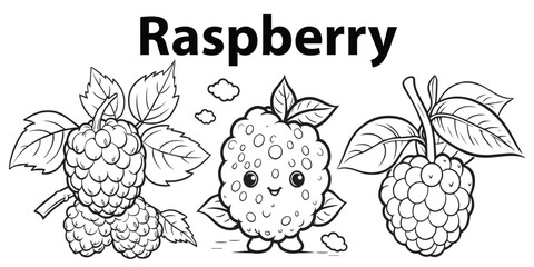 A set of Lineart Raspberry coloring page design vector illustration 