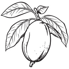 Hand-drawn vector illustration of an apple  