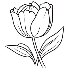Line art Tulip Flower Coloring Page Design For Kids