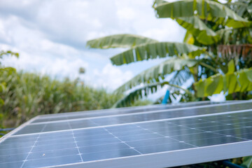 Fototapeta premium Solar panel . Green banana tree background and sky. Clean. Alternative energy concept.