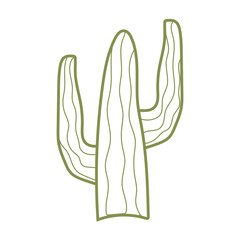 Boho Line Cactus