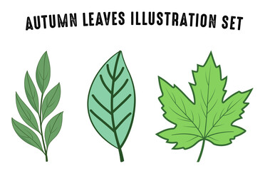Set of colorful autumn leaves vector, Autumn forest leaf illustration bundle, Fall leaves collection