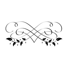 Vector floral calligraphy element flourish