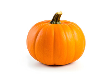 Single pumpkin in isolated white background