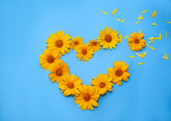 heart made of yellow flowers on a blue background. concepts of patriotism, state flag and independence of Ukraine.