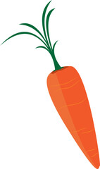 Illustration of Carrot. Transparent Background.