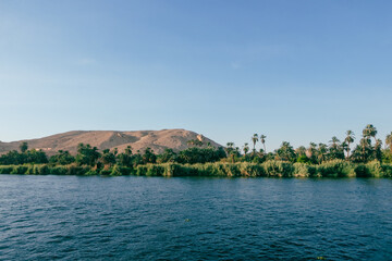 Majestic Nile Shoreline: Forest from the Cruise Ship. Egypt Summer Travel