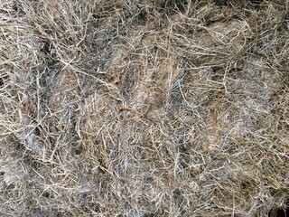 hay bale background