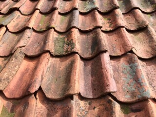 roof tiles