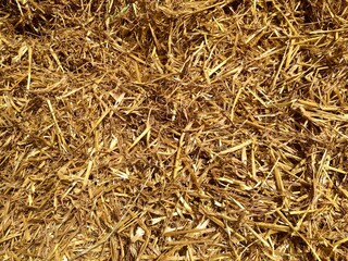 close up of straw