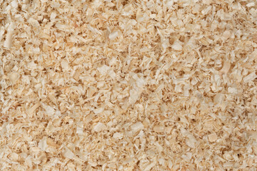 Dry chips sawdust for rodents. wood shavings  texture background. filings close up