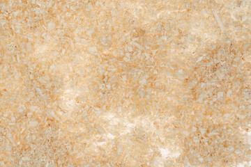 Dry chips sawdust for rodents. wood shavings  texture background. filings close up