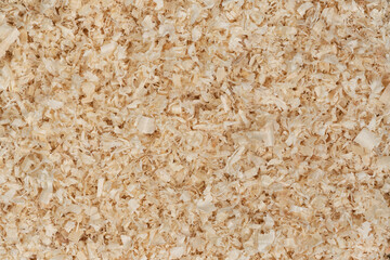 Dry chips sawdust for rodents. wood shavings  texture background. filings close up