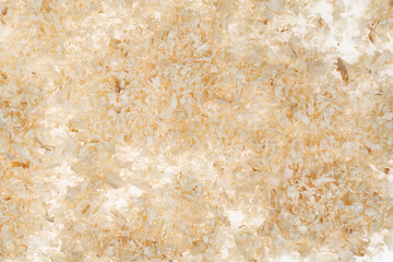 Dry chips sawdust for rodents. wood shavings  texture background. filings close up