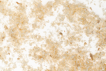 Dry chips sawdust for rodents. wood shavings isolated on white background. filings close up - obrazy, fototapety, plakaty