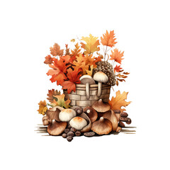 autumn leaves and acorns clipart watercolor clip art water color & png