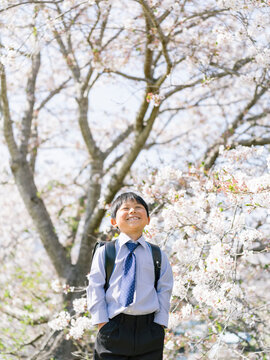 小学1年生の男の子