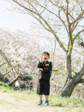 小学1年生の男の子