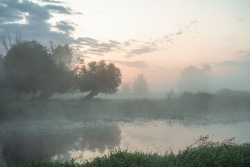 Mglisty świt nad nizinnaą rzeką. Ner o świcie - 653577250