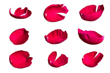 Set of red rose petals on a white background or transparent