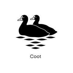 Coot, duck, bird, black silhouette vector icon illustration.