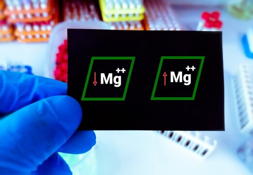 Hypomagnesemia (Low magnesium level) and Hypermagnesemia (High magnesium level) term, medical conceptual image.