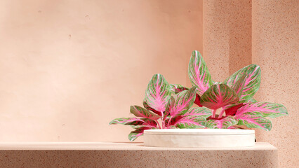 red aglaonema plant and terrazzo wall, rendering 3d empty scene white cylinder podium in landscape