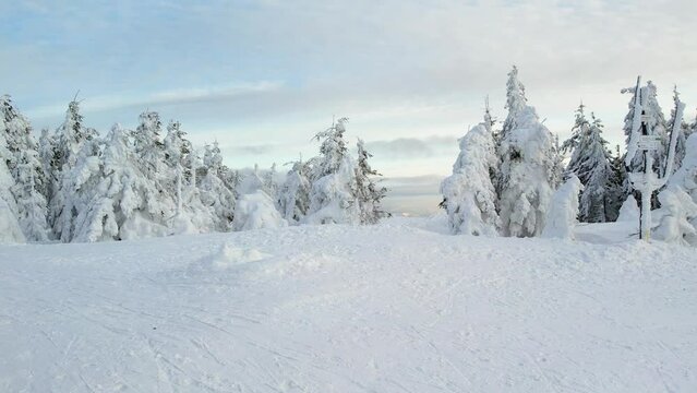 Winter landscape in the mountains, aerial view. Snow capped trees and mountains drone wide view. Amazing white winter scenery with pine trees and mountain.