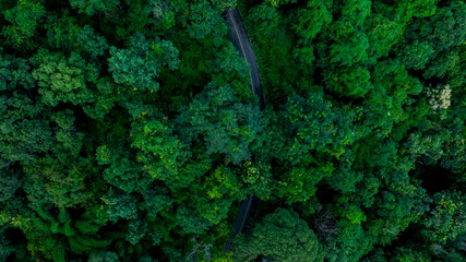 Aerial top view road in forest with car motion blur. Winding road through the forest. Car drive on...