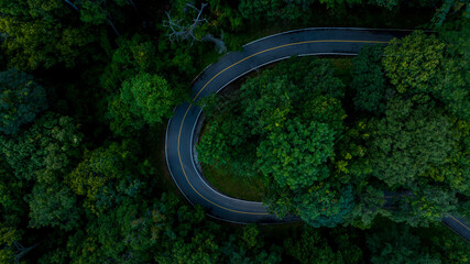 Aerial top view road in forest with car motion blur. Winding road through the forest. Car drive on the road between green forest. Ecosystem ecology healthy environment road trip.