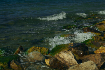 large stones covered with algae on the seashore