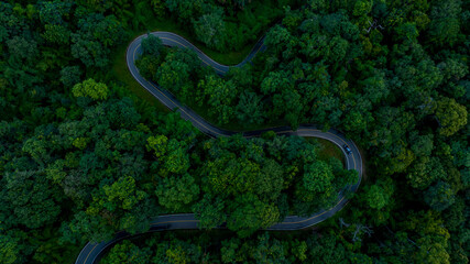 Aerial top view road in forest with car motion blur. Winding road through the forest. Car drive on...