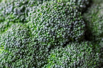 Pattern of broccoli. Macro photo green broccoli texture. Fresh green broccoli vegetable. Vegetables for diet and healthy food. Organic food