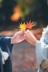 京都祇園の紅葉カップルの手元:couple hands in Kyoto Japan  with autumn leaves 2