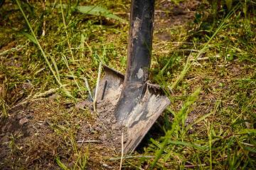 W ogrodzie © Thomas
